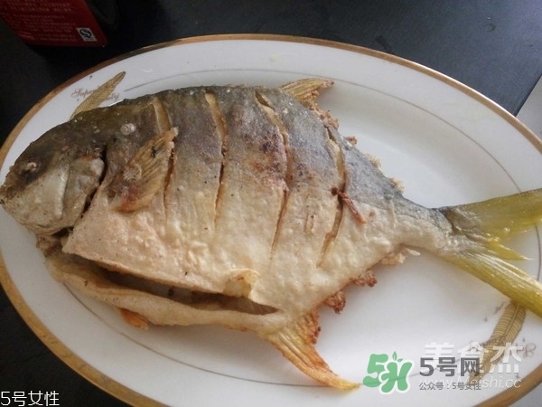 金鯧魚是海魚嗎？金鯧魚的刺多嗎？