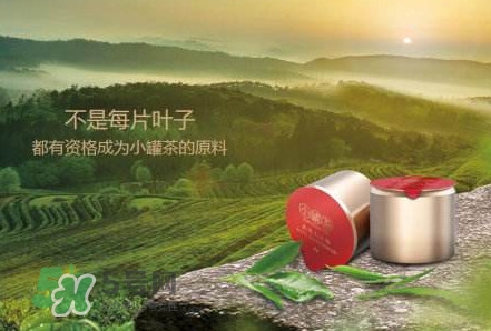 小罐茶怎么樣？小罐茶真的有那么好么