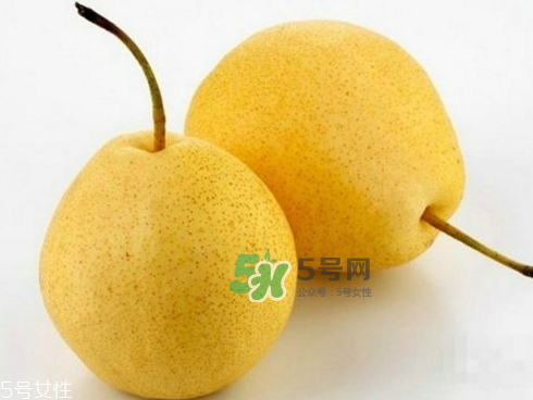貢梨可以做冰糖雪梨嗎？貢梨可以燉川貝嗎？