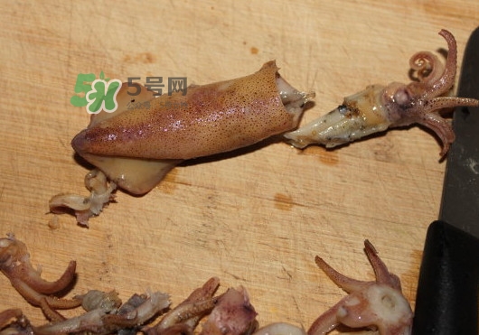 筆管魚怎么清洗？筆管魚怎么處理