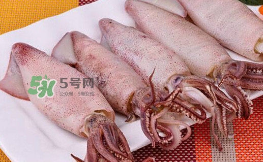 筆管魚怎么做好吃？筆管魚有什么營養(yǎng)