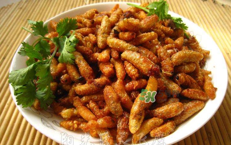 蜂蛹可以生吃嗎？蜂蛹的營(yíng)養(yǎng)價(jià)值