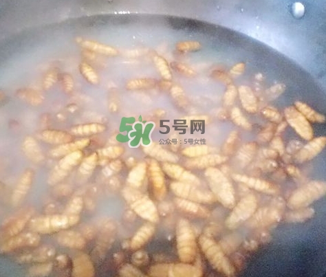 蜂蛹怎么保存？蜂蛹怎么做好吃？