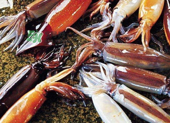 魷魚是堿性食物嗎？魷魚是酸性還是堿性？