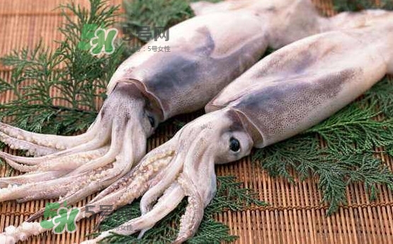 魷魚是海魚嗎？魷魚怎么炒好吃