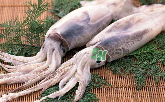 魷魚頭怎么切？魷魚怎么切花刀