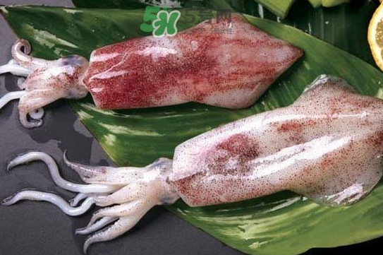 新鮮魷魚怎么處理？魷魚怎么清洗？