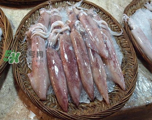 新鮮魷魚怎么保存？魷魚可以冷凍嗎