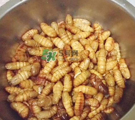 蜂蛹怎么保存？蜂蛹怎么做好吃？