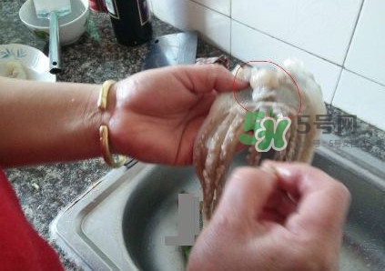 魷魚是堿性食物嗎？魷魚是酸性還是堿性？
