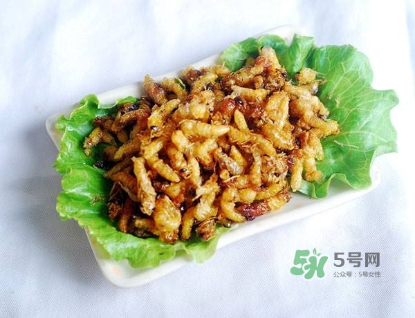 蜂蛹怎么保存？蜂蛹怎么做好吃？