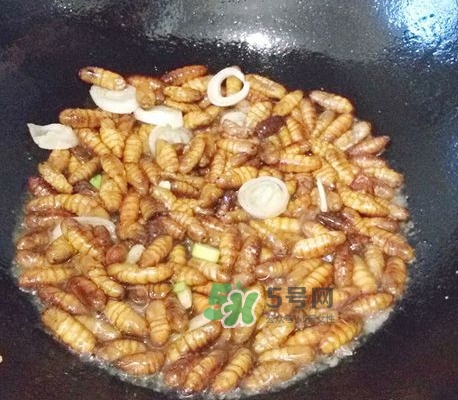 蜂蛹怎么保存？蜂蛹怎么做好吃？