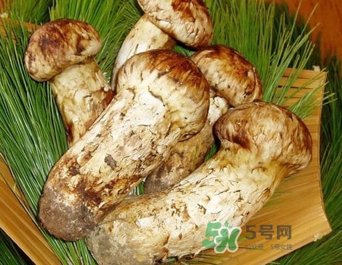 新鮮松茸怎么清洗？新鮮松茸怎么處理