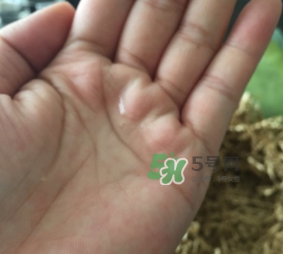 菌菇水是哪個(gè)國家的？悅木之源菌菇水是日本的嗎