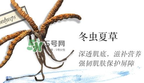 菌菇水是哪個(gè)國家的？悅木之源菌菇水是日本的嗎