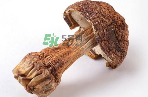 產(chǎn)婦能吃松茸嗎？哺乳期可以吃松茸嗎