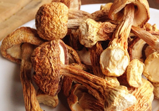干松茸怎么清洗？干松茸如何辨別真?zhèn)?><p><strong>干松茸怎么清洗？干松茸如何辨別真?zhèn)?/strong></p></a></li> <li><a href=