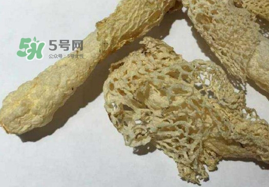 干竹蓀怎么處理？干竹蓀怎么清洗