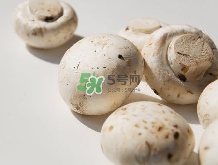 白蘑菇是什么種類？白蘑菇怎么洗才洗得干凈