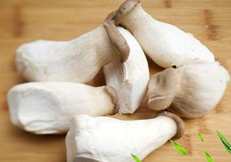 杏鮑菇是發(fā)物嗎？杏鮑菇怎么切好看