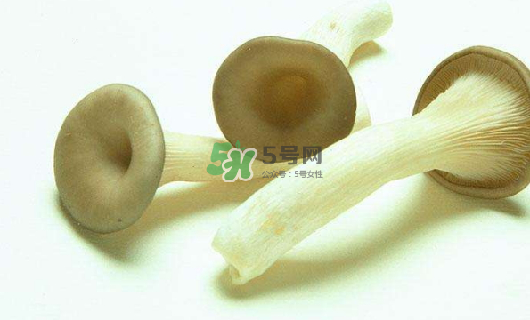 蘑菇不能和茄子一起吃嗎？蘑菇不能和什么一起吃？