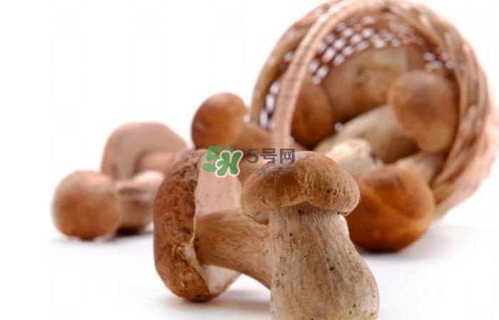 蘑菇能放冰箱嗎？蘑菇能放冰箱多長時間？