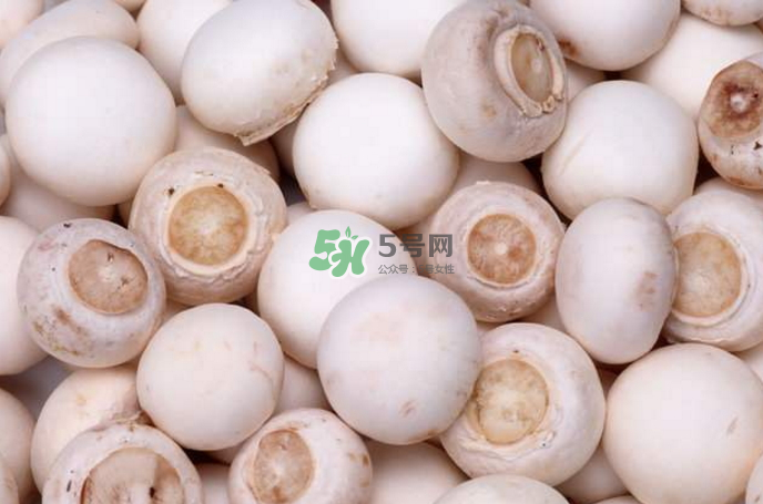 蘑菇能放冰箱嗎？蘑菇能放冰箱多長時間？