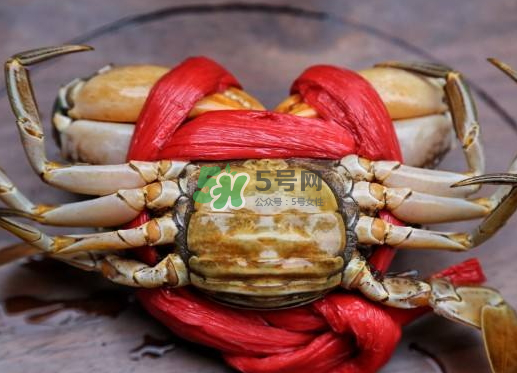 黃油蟹什么季節(jié)吃最好？黃油蟹產(chǎn)地