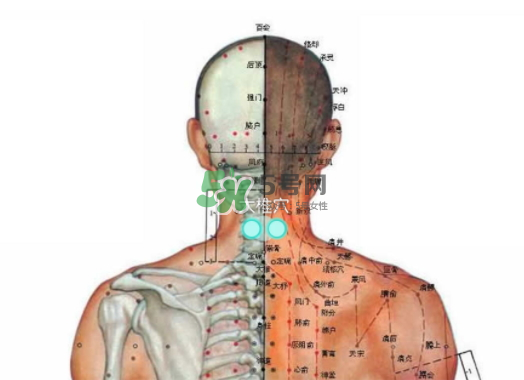 碧緹福護(hù)頸儀多少錢？碧緹福護(hù)頸儀價(jià)格