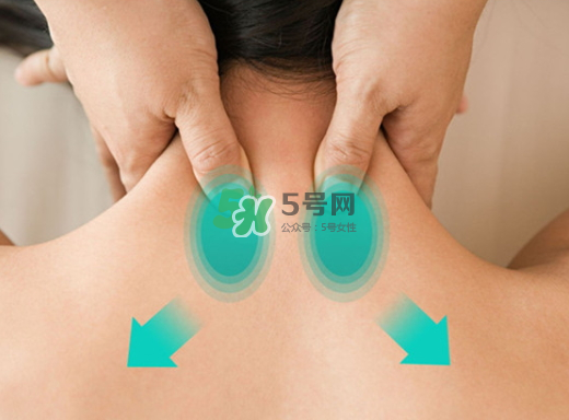碧緹福護(hù)頸儀多少錢？碧緹福護(hù)頸儀價(jià)格