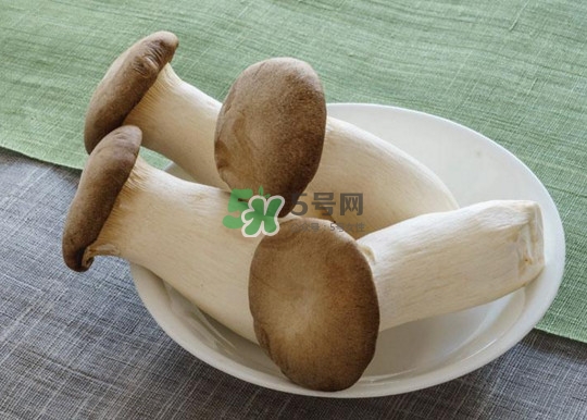 杏鮑菇怎么清洗？杏鮑菇怎么保存