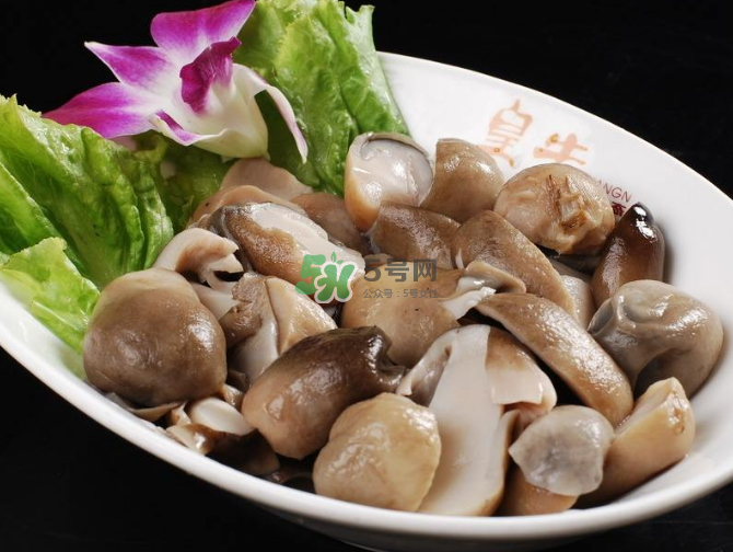 草菇孕婦能吃嗎？草菇要煮多久可以吃？