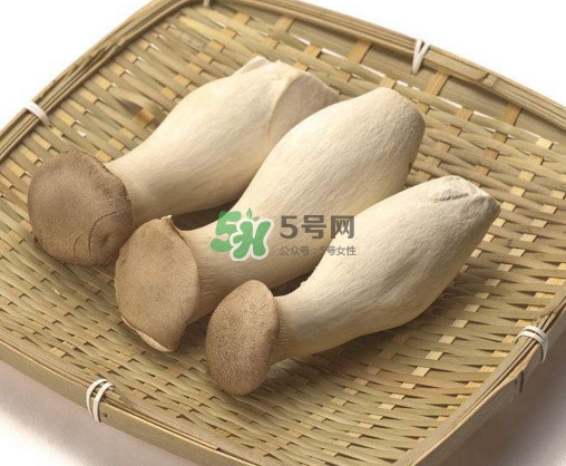 杏鮑菇有什么營(yíng)養(yǎng)價(jià)值？杏鮑菇產(chǎn)地在哪里