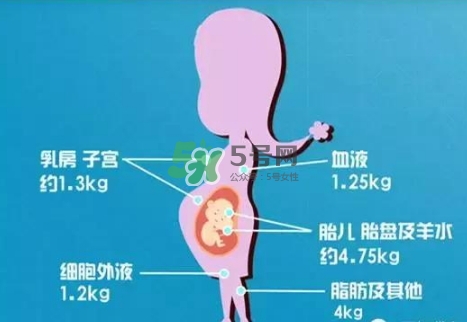 孕期體重增長標(biāo)準(zhǔn) 孕期體重增長過快怎么辦？
