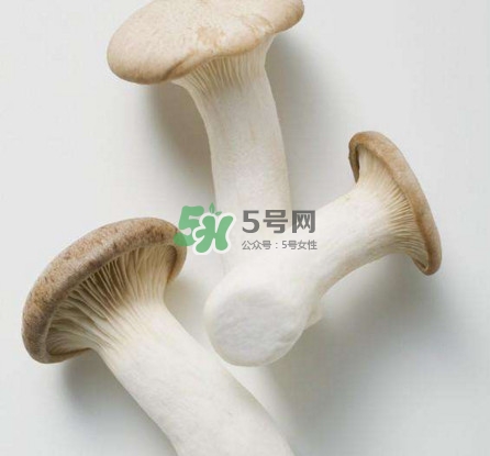 杏鮑菇用水焯嗎？杏鮑菇怎么做好吃