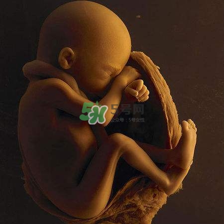 臍帶繞頸是什么意思？臍帶繞頸兩周怎么糾正？