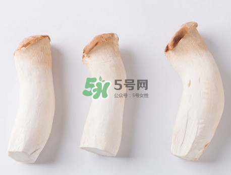 杏鮑菇有苦味還能吃嗎？杏鮑菇有酒味是壞了嗎