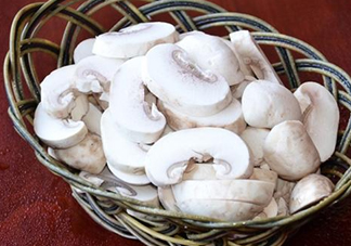 口蘑是發(fā)物嗎？口蘑是白蘑菇嗎
