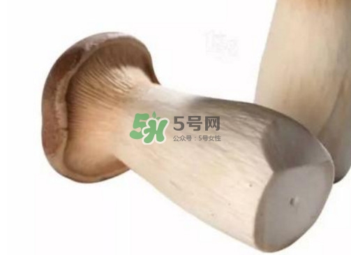 杏鮑菇有苦味還能吃嗎？杏鮑菇有酒味是壞了嗎
