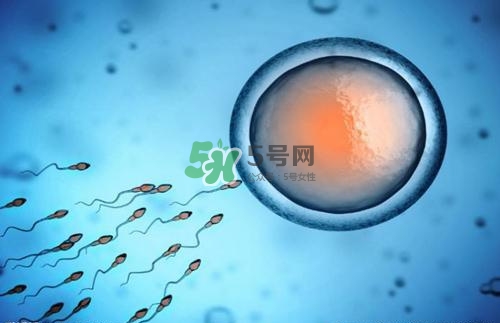 精子在女性體內(nèi)可以存活多久？男性的精子會枯竭嗎？