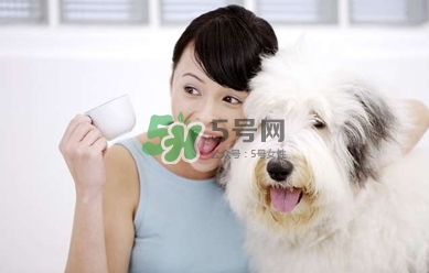孕婦能養(yǎng)狗嗎？孕婦養(yǎng)狗注意事項(xiàng)