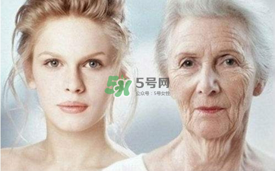 抗氧化是抗衰老嗎？抗氧化是不是就等于抗衰老？