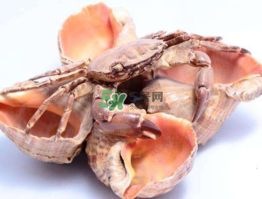 螃蟹殼里的東西是什么？螃蟹殼里什么不能吃？