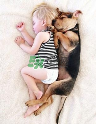 孕婦能養(yǎng)狗嗎？孕婦養(yǎng)狗注意事項(xiàng)