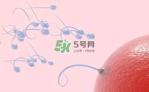 精子在女性體內(nèi)可以存活多久？男性的精子會枯竭嗎？