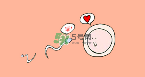 精子在女性體內(nèi)可以存活多久？男性的精子會枯竭嗎？