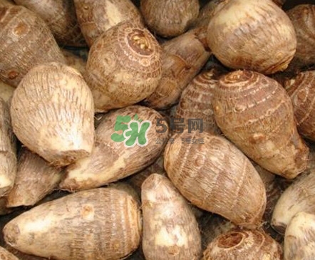 香芋如何種植？香芋的種植方法