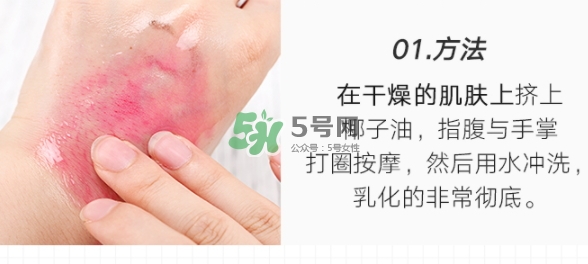 delinson黛蘭絲汀是什么牌子？delinson是哪國的什么檔次
