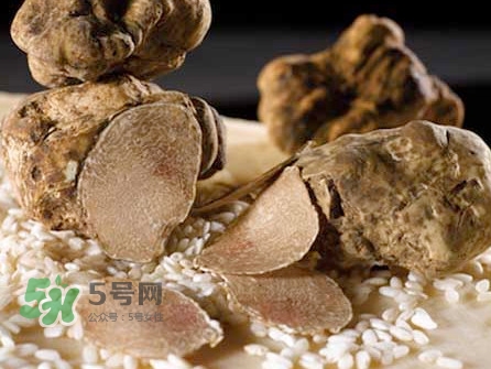 松露為什么那么貴？松露為什么這么貴？