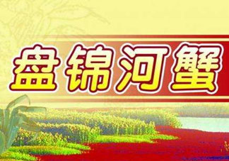盤錦河蟹批發(fā)市場(chǎng)在哪？盤錦河蟹哪里最正宗？